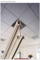 Es un sistema de dise�o de suspensi�n con entrecalle de 15 mm.que combina est�tica y funcionalidad. Disponible en blanco � negro. Estos perfiles facilitan las instalaci�nes internas tales como divisiones, iluminaci�n � se�alizaci�n.