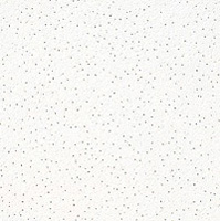Prima Adria. Presenta una superficie suave con peque�as perforaciones proporcionando un aspecto decorativo delicado y una buena absorci�n ac�stica. Disponible en versi�n sin perforar para aspecto blanco monol�tico del techo.