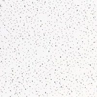 Prima Fine Fissured. Su superficie est� especialmente concebida para proporcionar una buena absorci�n ac�stica. La opci�n Secondlook permite la integraci�n del sistema de suspensi�n en el dise�o del techo.